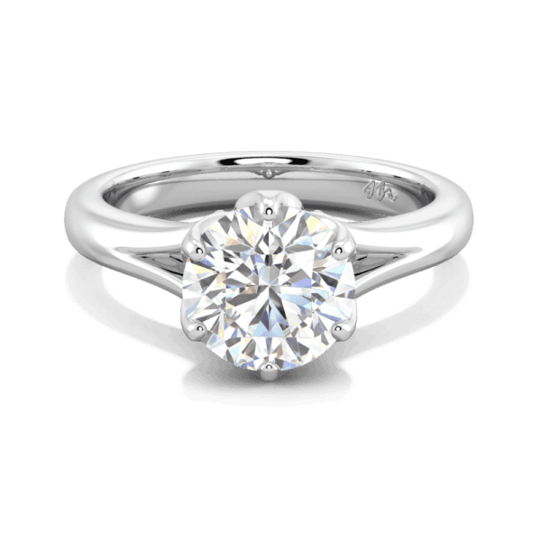 Protea 8 0 Front White Gold Moissanite Floral Gallery Split Band Solitaire Ring