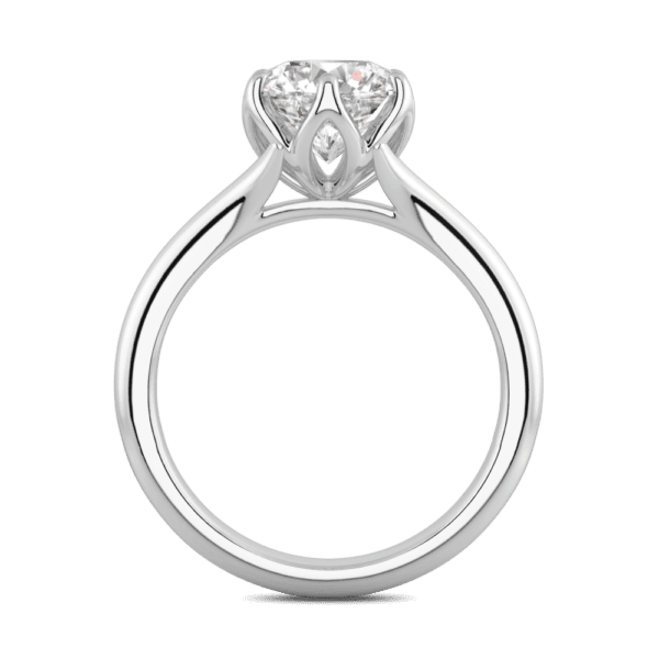 Protea 8 0 Side White Gold Diamond Floral Gallery Split Band Solitaire Ring