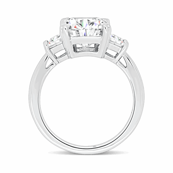 Aubrey Emerald 10X8 Side White Gold Moissanite Trapezoid Double Prong Set Trilogy Ring