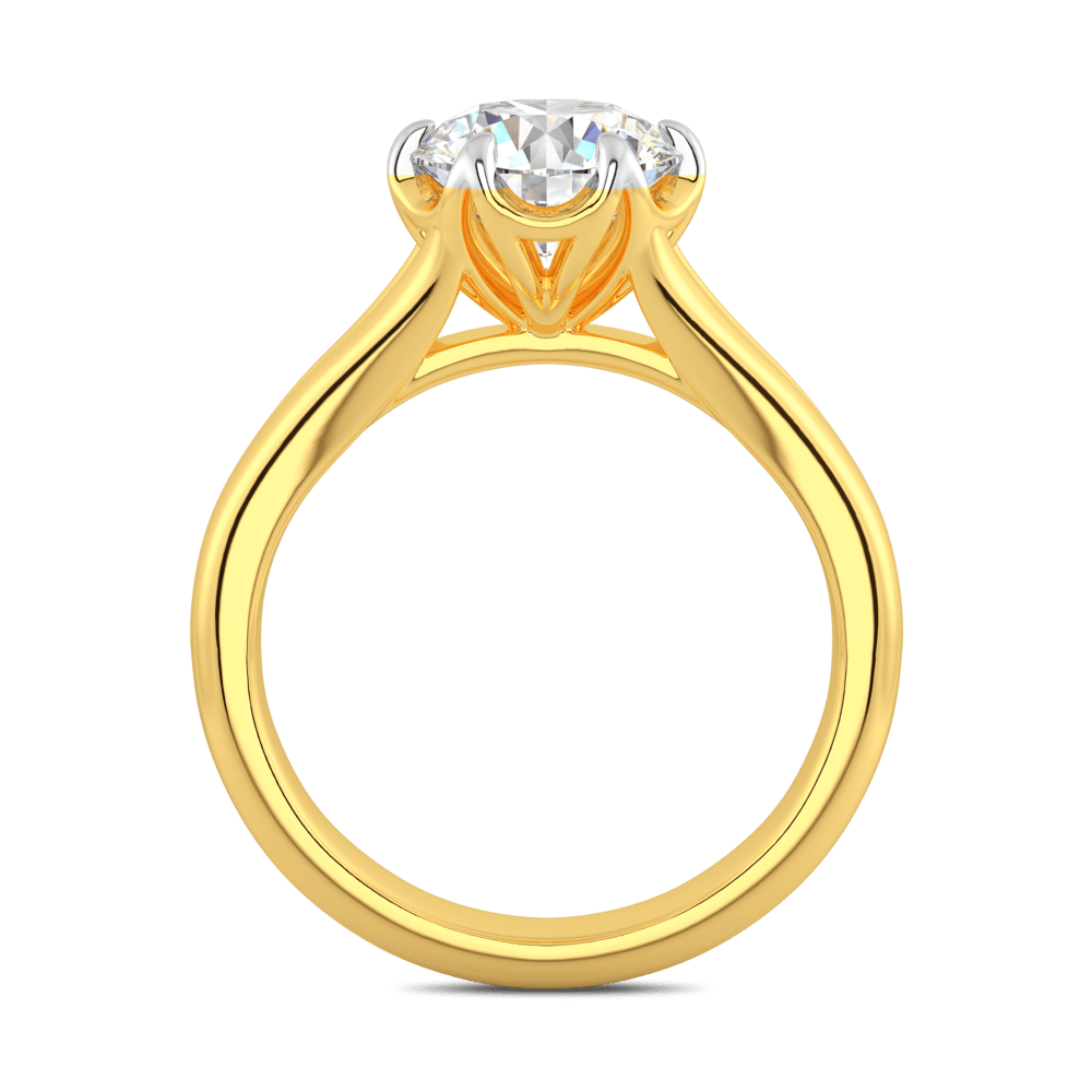 Platinum 2.50ct