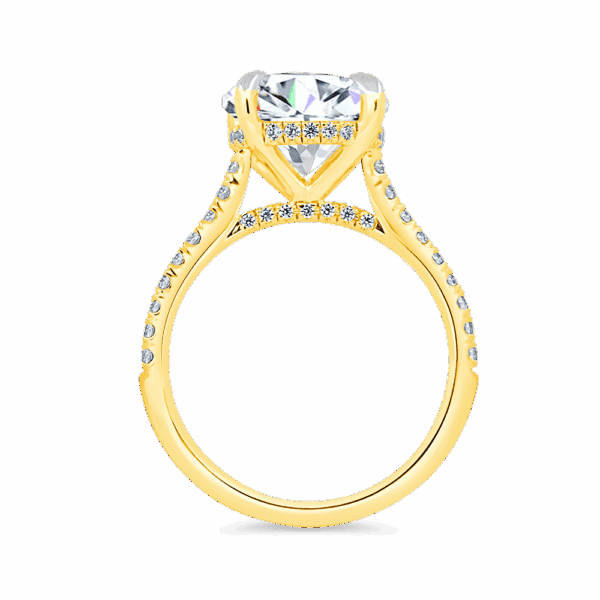Harmony Round 10 0 Side Yellow Gold Diamond 4 Prong Encrusted Under Rail Bridge Engagement Ring