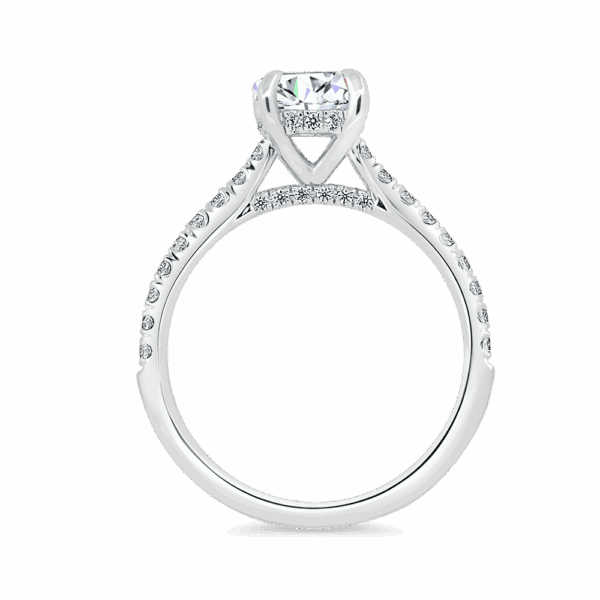 Harmony Round 6 5 Side White Gold Diamond 4 Prong Encrusted Under Rail Bridge Engagement Ring