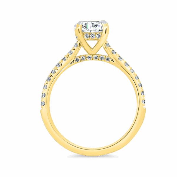 Harmony Round 6 5 Side Yellow Gold Diamond 4 Prong Encrusted Under Rail Bridge Engagement Ring