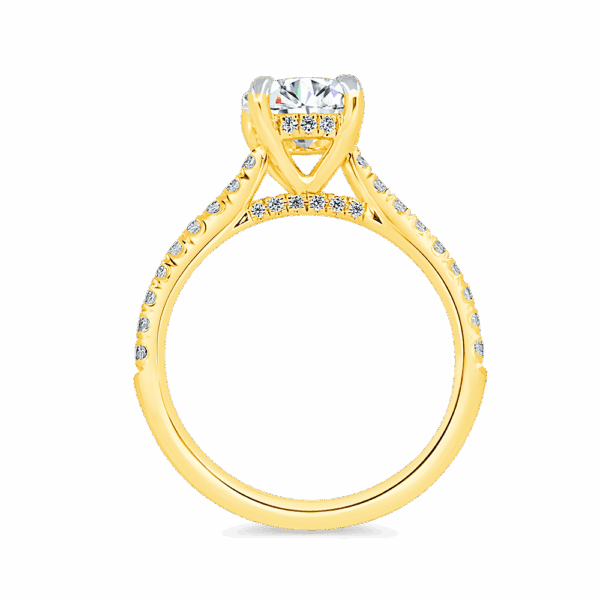 Harmony Round 7 0 Side Yellow Gold Diamond 4 Prong Encrusted Under Rail Bridge Engagement Ring