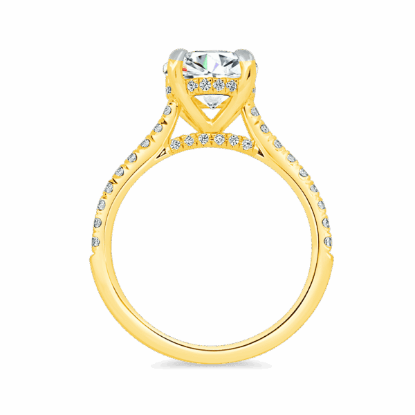 Harmony Round 8 0 Side Yellow Gold Diamond 4 Prong Encrusted Under Rail Bridge Engagement Ring