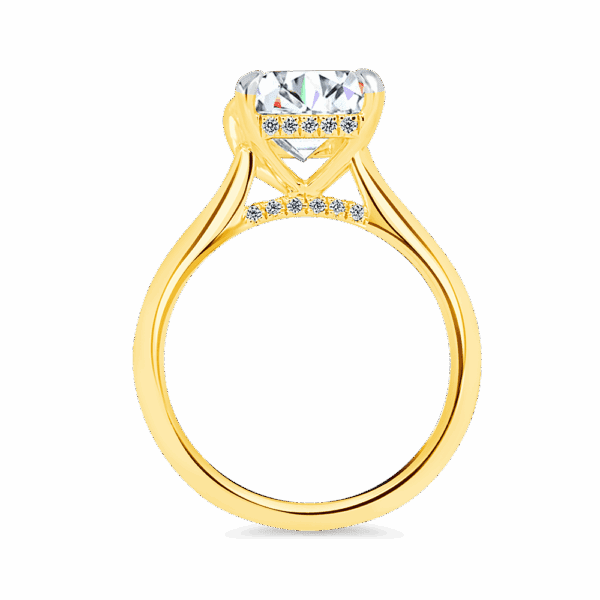 Hattie Emerald 10X8 Side Yellow Gold Diamond 4 Prong Accented Under Rail Bridge Tapered Engagement Ring