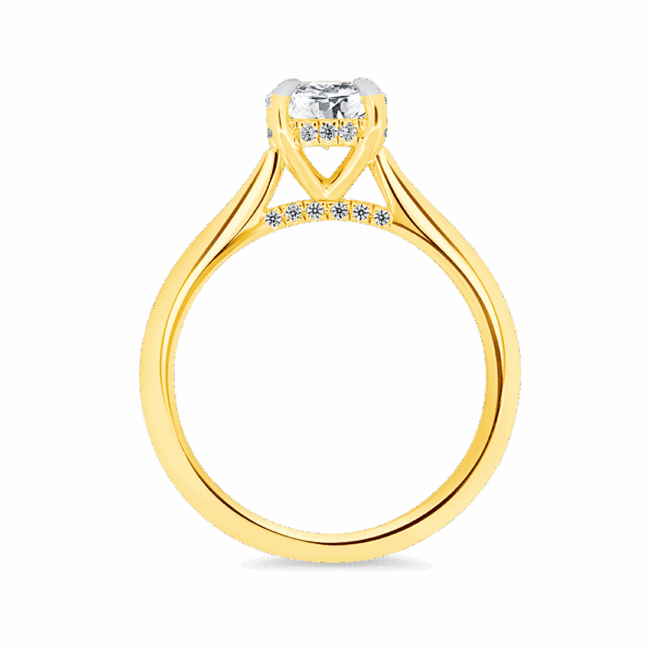 Hattie Round 6 5 Side Yellow Gold Diamond 4 Prong Accented Under Rail Bridge Tapered Engagement Ring