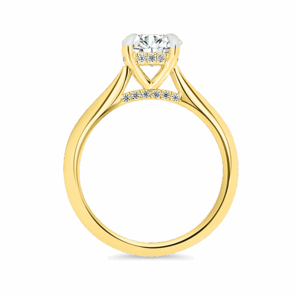 Hattie Round 7 0 Side Yellow Gold Diamond 4 Prong Accented Under Rail Bridge Tapered Engagement Ring