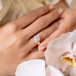 Protea Collection And Tiara Bands